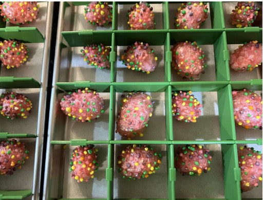 Tray Dividers™- for Harvest Right Freeze Dryer trays MADE IN THE USA (select your size below)