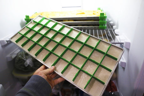 Tray Dividers™- for Harvest Right Freeze Dryer trays MADE IN THE USA (select your size below)