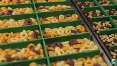 Tray Dividers- for Harvest Right Countertop Freeze Dryer Trays