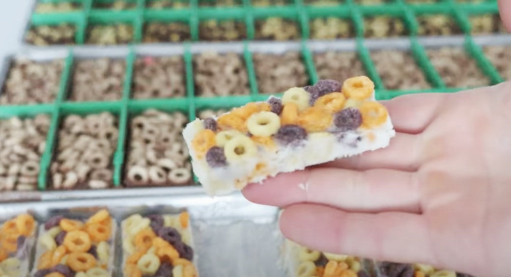 Tray Dividers- for Harvest Right Countertop Freeze Dryer Trays