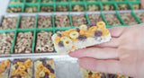 Tray Dividers- for Harvest Right Countertop Freeze Dryer Trays
