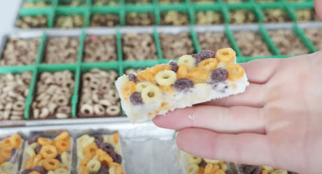 Tray Dividers- for Harvest Right Countertop Freeze Dryer Trays