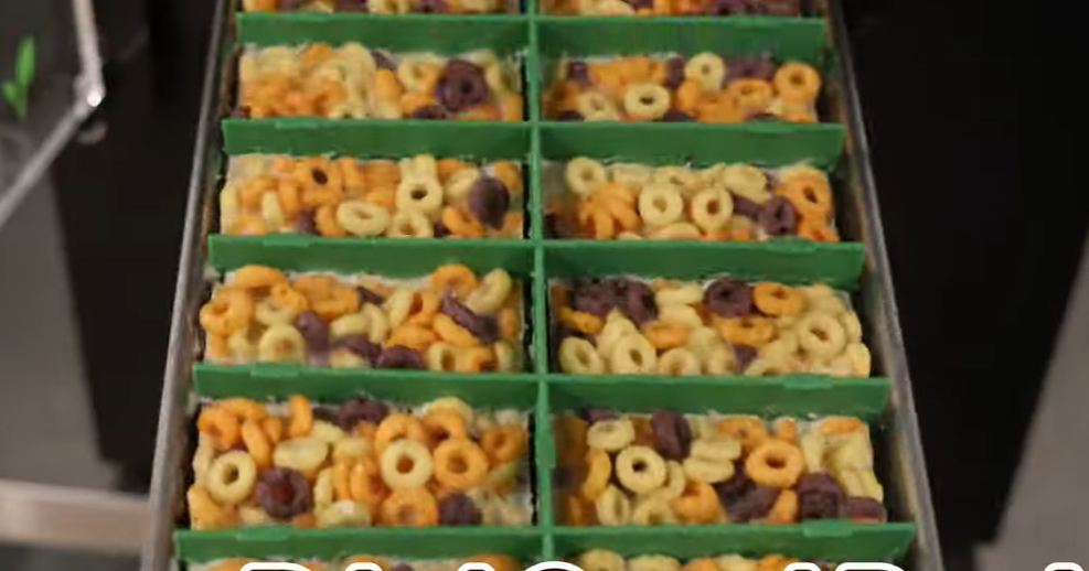 Tray Dividers- for Harvest Right Countertop Freeze Dryer Trays