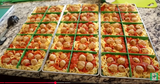 Tray Dividers- for Harvest Right Countertop Freeze Dryer Trays