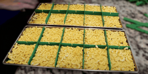 Tray Dividers- for Harvest Right Countertop Freeze Dryer Trays